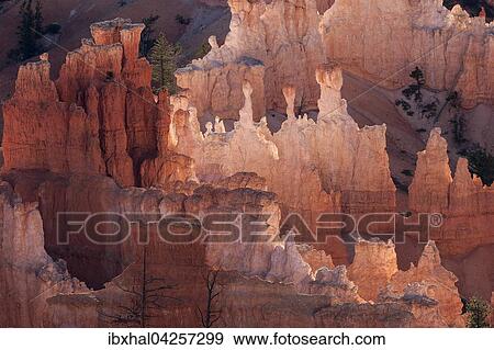 Ausblick auf farbige Gesteinsformationen, Hoodoos, Morgenlicht, Bryce Canyon Nationalpark, Utah, USA, Nordamerika View Large Photo Image Stock Photo - Ausblick auf farbige Gesteinsformationen, Hoodoos, Morgenlicht, Bryce Canyon Nationalpark, Utah, USA, Nordamerika. Fotosearch