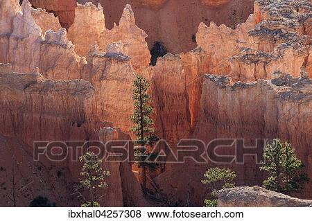 Ausblick auf farbige Gesteinsformationen, Hoodoos, Morgenlicht, Bryce Canyon Nationalpark, Utah, USA, Nordamerika View Large Photo Image Stock Photo - Ausblick auf farbige Gesteinsformationen, Hoodoos, Morgenlicht, Bryce Canyon Nationalpark, Utah, USA, Nordamerika. Fotosearch