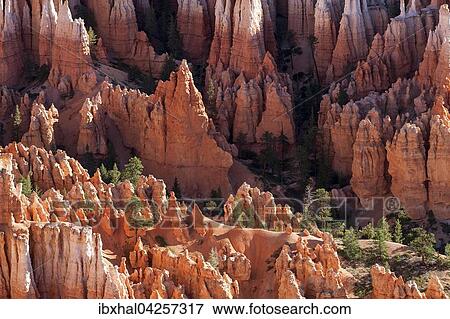 Ausblick auf farbige Gesteinsformationen, Hoodoos, Morgenlicht, Bryce Canyon Nationalpark, Utah, USA, Nordamerika View Large Photo Image Stock Photo - Ausblick auf farbige Gesteinsformationen, Hoodoos, Morgenlicht, Bryce Canyon Nationalpark, Utah, USA, Nordamerika. Fotosearch