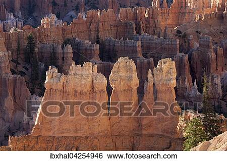 Ausblick auf farbige Gesteinsformationen im Bryce Amphitheater, Hoodoos, Morgenlicht, Bryce Canyon Nationalpark, Utah, USA, Nordamerika View Large Photo Image Stock Photograph - Ausblick auf farbige Gesteinsformationen im Bryce Amphitheater, Hoodoos, Morgenlicht, Bryce Canyon Nationalpark, Utah, USA, Nordamerika. Fotosearch