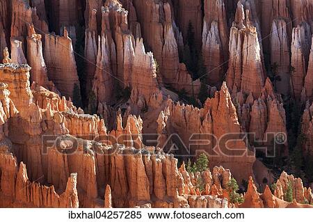 Stock Photography - Ausblick auf farbige Gesteinsformationen, Hoodoos, Morgenlicht, Bryce Canyon Nationalpark, Utah, USA, Nordamerika. Fotosearch