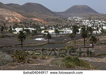 Ausblick auf Haria, Palmen, Lavafelder, hinten zwei Vulkanberge, Lanzarote, Kanarische Inseln, Spanien, Europa View Large Photo Image Stock Photo - Ausblick auf Haria, Palmen, Lavafelder, hinten zwei Vulkanberge, Lanzarote, Kanarische Inseln, Spanien, Europa. Fotosearch