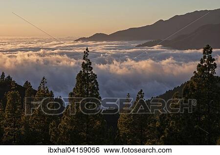 Stock Photograph - Ausblick auf Passatwolken uber dem Valle Aridane, hinten rechts die Caldera de Taburiente, Abendlicht, La Palma, Kanarische Inseln, Spanien, Europa. Fotosearch