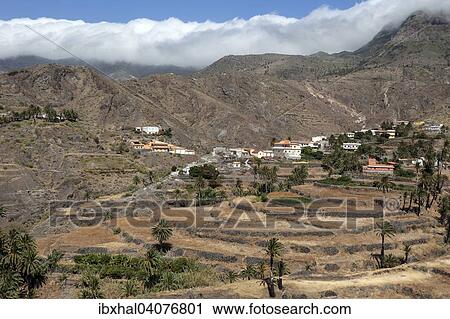 Ausblick auf Terrassenfelder und Alojera, hinten die Montana de Retamar mit Passatwolken, La Gomera, Kanarische Inseln, Spanien, Europa View Large Photo Image Stock Image - Ausblick auf Terrassenfelder und Alojera, hinten die Montana de Retamar mit Passatwolken, La Gomera, Kanarische Inseln, Spanien, Europa. Fotosearch