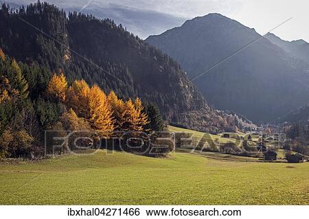 Ausblick ins Hintersteiner Tal im Herbst, Herbststimmung, bei Bruck, Allgau, Bayern, Deutschland, Europa View Large Photo Image Stock Photograph - Ausblick ins Hintersteiner Tal im Herbst, Herbststimmung, bei Bruck, Allgau, Bayern, Deutschland, Europa. Fotosearch