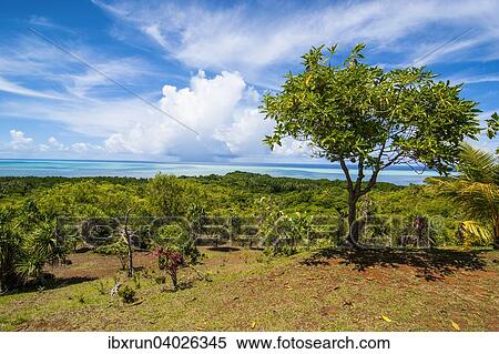 Stock Photography - Ausblick uber die Insel Babeldaob, Palau, Mikronesien, Ozeanien. Fotosearch