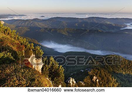 Ausblick vom Alberfeldkogel uber Langbathsee im Nebel, Feuerkogel-Gebiet, Hollengebirge, Salzkammergut, Oberosterreich, Osterreich, Europa View Large Photo Image Stock Image - Ausblick vom Alberfeldkogel uber Langbathsee im Nebel, Feuerkogel-Gebiet, Hollengebirge, Salzkammergut, Oberosterreich, Osterreich, Europa. Fotosearch
