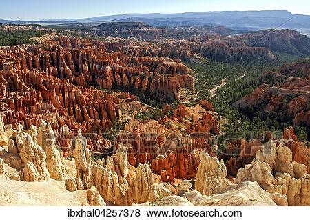 Stock Photo - Ausblick vom Bryce Point in das Bryce Amphitheater mit farbigen Gesteinsformationen, Hoodoos, Morgenlicht, Bryce Canyon Nationalpark, Utah, USA, Nordamerika. Fotosearch