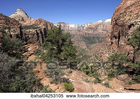 Ausblick vom Canyon Overlook in den Zion Canyon, hinten links Bridge Mountain, Zion Nationalpark, Utah, USA, Nordamerika View Large Photo Image Stock Photography - Ausblick vom Canyon Overlook in den Zion Canyon, hinten links Bridge Mountain, Zion Nationalpark, Utah, USA, Nordamerika. Fotosearch