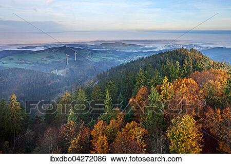 Ausblick vom Eugen-Keidel-Turm auf dem Schauinsland, Schwarzwald am Morgen, Freiburg im Breisgau, Baden-Wurttemberg, Deutschland, Europa View Large Photo Image Stock Photograph - Ausblick vom Eugen-Keidel-Turm auf dem Schauinsland, Schwarzwald am Morgen, Freiburg im Breisgau, Baden-Wurttemberg, Deutschland, Europa. Fotosearch