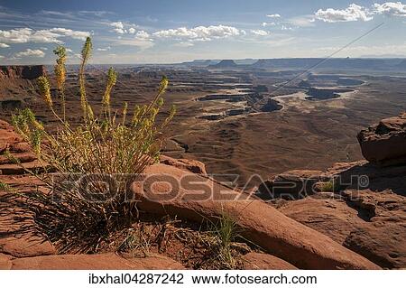 Ausblick vom Green River Overlook auf Erosionslandschaft, Canyons, Island of the Sky, Canyonlands-Nationalpark, Utah, USA, Nordamerika View Large Photo Image Stock Image - Ausblick vom Green River Overlook auf Erosionslandschaft, Canyons, Island of the Sky, Canyonlands-Nationalpark, Utah, USA, Nordamerika. Fotosearch