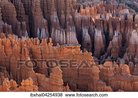 Ausblick vom Inspiration Point auf farbige Gesteinsformationen im Bryce Amphitheater, Hoodoos, Morgenlicht, Bryce Canyon Nationalpark, Utah, USA, Nordamerika View Large Photo Image Stock Photo - Ausblick vom Inspiration Point auf farbige Gesteinsformationen im Bryce Amphitheater, Hoodoos, Morgenlicht, Bryce Canyon Nationalpark, Utah, USA, Nordamerika. Fotosearch