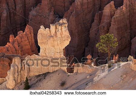 Stock Image - Ausblick vom Queens Garden Trail auf farbige Gesteinsformationen, Hoodoos, Bryce-Canyon-Nationalpark, Utah, USA, Nordamerika. Fotosearch