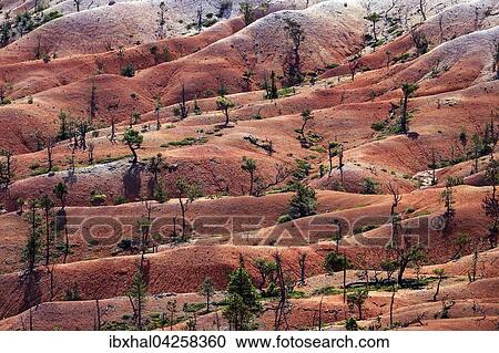 Ausblick vom Queens Garden Trail auf farbige Gesteinsformationen, Bryce-Canyon-Nationalpark, Utah, USA, Nordamerika View Large Photo Image Stock Image - Ausblick vom Queens Garden Trail auf farbige Gesteinsformationen, Bryce-Canyon-Nationalpark, Utah, USA, Nordamerika. Fotosearch