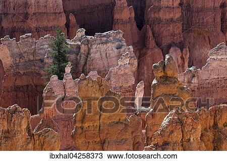 Ausblick vom Queens Garden Trail auf farbige Gesteinsformationen, Hoodoos, Bryce-Canyon-Nationalpark, Utah, USA, Nordamerika View Large Photo Image Stock Image - Ausblick vom Queens Garden Trail auf farbige Gesteinsformationen, Hoodoos, Bryce-Canyon-Nationalpark, Utah, USA, Nordamerika. Fotosearch