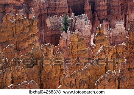 Ausblick vom Queens Garden Trail auf farbige Gesteinsformationen, Hoodoos, Bryce-Canyon-Nationalpark, Utah, USA, Nordamerika View Large Photo Image Stock Photo - Ausblick vom Queens Garden Trail auf farbige Gesteinsformationen, Hoodoos, Bryce-Canyon-Nationalpark, Utah, USA, Nordamerika. Fotosearch