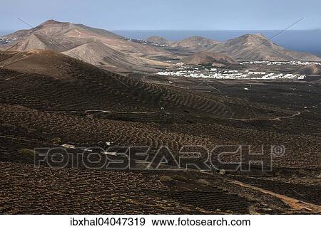 Ausblick von der Kette Montana de Guardilama nach Suden auf das Weinanbaugebiet La Geria, hinten Uga und Yaiza, links Vulkanberg Atalaya de Femes, rechts El Rubicon, Lanzarote, Kanarische Inseln, Spanien, Europa View Large Photo Image Stock Photo - Ausblick von der Kette Montana de Guardilama nach Suden auf das Weinanbaugebiet La Geria, hinten Uga und Yaiza, links Vulkanberg Atalaya de Femes, rechts El Rubicon, Lanzarote, Kanarische Inseln, Spanien, Europa. Fotosearch