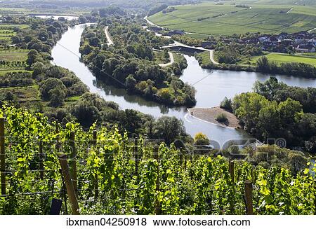 Ausblick von der Vogelsburg uber den Alten Main in der Mainschleife bei Volkach, rechts Nordheim, Mainfranken, Unterfranken, Franken, Bayern, Deutschland, Europa View Large Photo Image Stock Photo - Ausblick von der Vogelsburg uber den Alten Main in der Mainschleife bei Volkach, rechts Nordheim, Mainfranken, Unterfranken, Franken, Bayern, Deutschland, Europa. Fotosearch