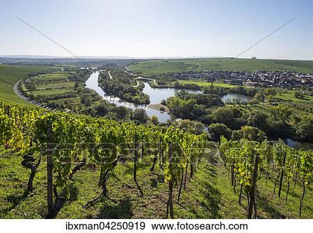 Ausblick von der Vogelsburg uber den Alten Main in der Mainschleife bei Volkach, rechts Nordheim am Main, Mainfranken, Unterfranken, Franken, Bayern, Deutschland, Europa View Large Photo Image Stock Photo - Ausblick von der Vogelsburg uber den Alten Main in der Mainschleife bei Volkach, rechts Nordheim am Main, Mainfranken, Unterfranken, Franken, Bayern, Deutschland, Europa. Fotosearch