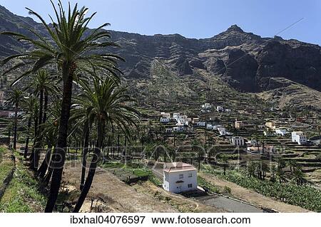 Ausblick von Lomo del Balo auf die Terrassenfelder und Hornillo Valle Gran Rey, La Gomera, Kanarische Inseln, Spanien, Europa View Large Photo Image Stock Photo - Ausblick von Lomo del Balo auf die Terrassenfelder und Hornillo Valle Gran Rey, La Gomera, Kanarische Inseln, Spanien, Europa. Fotosearch