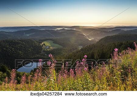Picture - Ausblick zum Feldsee nach Osten vom Feldberg, Schwarzwald, Baden-Wurttemberg, Deutschland, Europa. Fotosearch