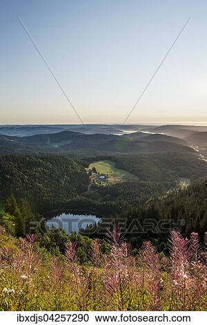 Ausblick zum Feldsee nach Osten vom Feldberg, Schwarzwald, Baden-Wurttemberg, Deutschland, Europa View Large Photo Image Stock Image - Ausblick zum Feldsee nach Osten vom Feldberg, Schwarzwald, Baden-Wurttemberg, Deutschland, Europa. Fotosearch