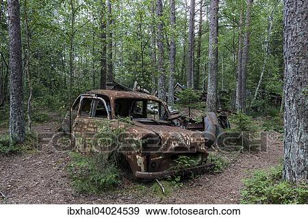 Autofriedhof im Wald, Schrottauto, 40er Jahre, bei Ryd, Smaland, Schweden, Europa View Large Photo Image Stock Photo - Autofriedhof im Wald, Schrottauto, 40er Jahre, bei Ryd, Smaland, Schweden, Europa. Fotosearch