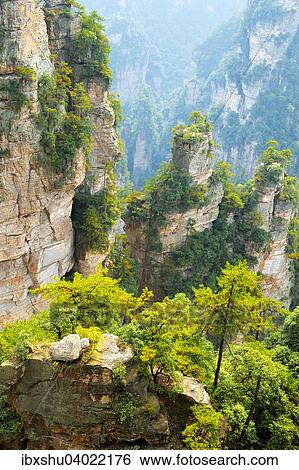 Stock Photograph - Avatar Berge mit senkrechten Felssaulen aus Quarzsandstein, Zhangjiajie Nationalpark, Provinz Hunan, China, Asien. Fotosearch
