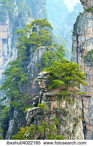 Stock Photography - Avatar Berge mit senkrechten Felssaulen aus Quarzsandstein, Zhangjiajie Nationalpark, Provinz Hunan, China, Asien. Fotosearch
