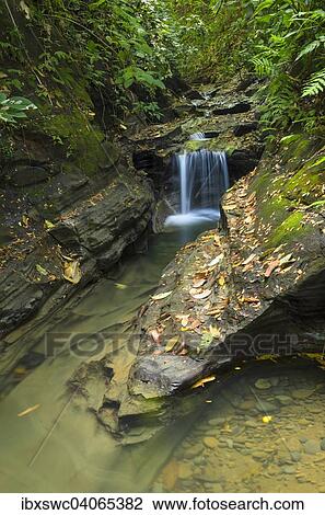 Stock Image - Bachlauf im Regenwald, Provinz Puntarenas, Costa Rica, Nordamerika. Fotosearch