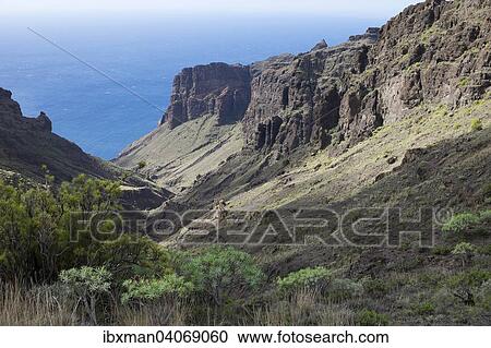 Stock Image - Barranco de Guaranel und Tejeleche-Berge, Gemeinde Valle Gran Rey, La Gomera, Kanarische Inseln, Spanien, Europa. Fotosearch