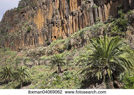 Basaltsaulen im Lomo del Carreton bei Arure, Gemeinde Valle Gran Rey, La Gomera, Kanarische Inseln, Spanien, Europa View Large Photo Image Stock Image - Basaltsaulen im Lomo del Carreton bei Arure, Gemeinde Valle Gran Rey, La Gomera, Kanarische Inseln, Spanien, Europa. Fotosearch