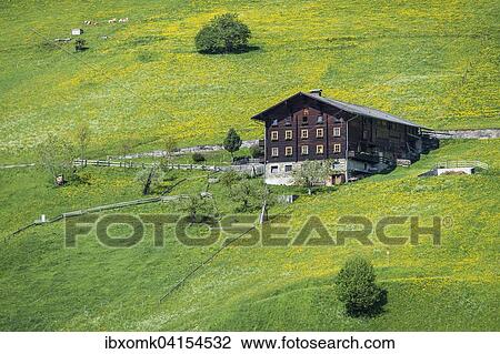 Stock Image - Bauernhaus und Fruhlingswiese, bei Pragraten am Grossvenediger, Virgental, Osttirol, Osterreich, Europa. Fotosearch