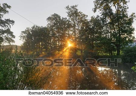 Baume am Ufer, Morgenstimmung, Schwaigwall, Geretsried, Oberbayern, Bayern, Deutschland, Europa View Large Photo Image Stock Photograph - Baume am Ufer, Morgenstimmung, Schwaigwall, Geretsried, Oberbayern, Bayern, Deutschland, Europa. Fotosearch