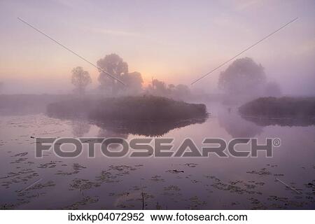 Baume an einem Gewasser im Morgennebel bei Morgenrot in einer Auenlandschaft, Biospharenreservat Mittelelbe, Dessau, Sachsen-Anhalt, Deutschland, Europa View Large Photo Image Stock Image - Baume an einem Gewasser im Morgennebel bei Morgenrot in einer Auenlandschaft, Biospharenreservat Mittelelbe, Dessau, Sachsen-Anhalt, Deutschland, Europa. Fotosearch