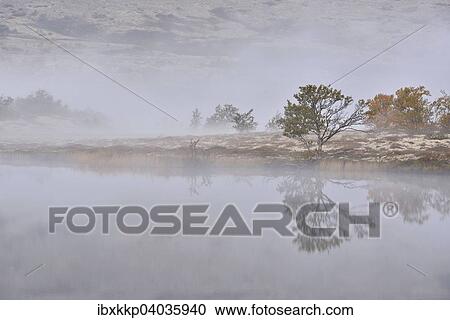 Baume im Morgennebel am See Doralstjornin oder Doralstjornin, Rondane-Nationalpark, Norwegen, Europa View Large Photo Image Stock Image - Baume im Morgennebel am See Doralstjornin oder Doralstjornin, Rondane-Nationalpark, Norwegen, Europa. Fotosearch