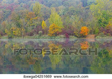 Baume spiegeln sich im Wasser im Herbst, Herbstfarbung, Pfuhler See, bei Neu-Ulm, Bayern, Deutschland, Europa View Large Photo Image Stock Photo - Baume spiegeln sich im Wasser im Herbst, Herbstfarbung, Pfuhler See, bei Neu-Ulm, Bayern, Deutschland, Europa. Fotosearch