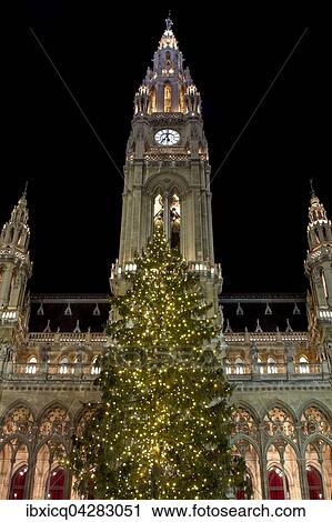 Beleuchteter Weihnachtsbaum vor dem Wiener Rathaus, Rathausplatz, Wien, Osterreich, Europa View Large Photo Image Stock Image - Beleuchteter Weihnachtsbaum vor dem Wiener Rathaus, Rathausplatz, Wien, Osterreich, Europa. Fotosearch