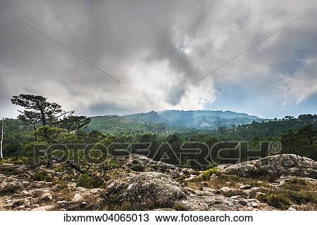 Berglandschaft mit dramatischen Wolken, Alta Rocca, l'Ospedale, Korsika, Frankreich, Europa View Large Photo Image Stock Image - Berglandschaft mit dramatischen Wolken, Alta Rocca, l'Ospedale, Korsika, Frankreich, Europa. Fotosearch