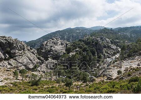 Stock Image - Berglandschaft mit Fluss, Alta Rocca, l'Ospedale, Korsika, Frankreich, Europa. Fotosearch