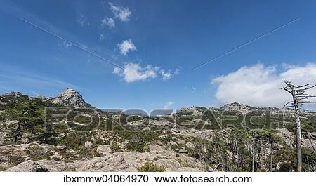 Stock Image - Berglandschaft, Punta di u Diamante, Alta Rocca, l'Ospedale, Korsika, Frankreich, Europa. Fotosearch