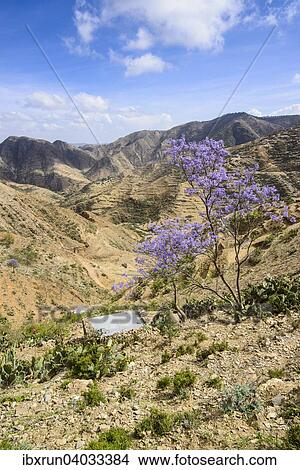 Berglandschaft, Region Semienawi Kayih Bahri, Eritrea, Afrika View Large Photo Image Picture - Berglandschaft, Region Semienawi Kayih Bahri, Eritrea, Afrika. Fotosearch