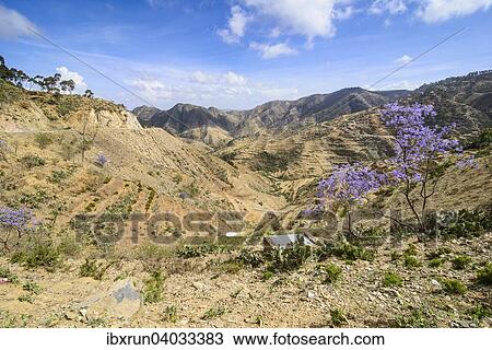 Berglandschaft, Region Semienawi Kayih Bahri, Eritrea, Afrika View Large Photo Image Stock Image - Berglandschaft, Region Semienawi Kayih Bahri, Eritrea, Afrika. Fotosearch