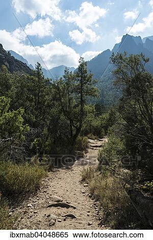Berglandschaft, Wanderweg zum Refuge de Carrozzu, Kiefernwald Foret de Bonifatu, Korsika, Frankreich, Europa View Large Photo Image Stock Photography - Berglandschaft, Wanderweg zum Refuge de Carrozzu, Kiefernwald Foret de Bonifatu, Korsika, Frankreich, Europa. Fotosearch