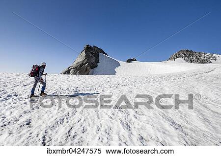 Bergsteiger am Gipfelgrat des Schwarzenstein, Zillertaler Alpen, Sudtirol, Trentino-Sudtirol, Italien, Europa View Large Photo Image Stock Photography - Bergsteiger am Gipfelgrat des Schwarzenstein, Zillertaler Alpen, Sudtirol, Trentino-Sudtirol, Italien, Europa. Fotosearch