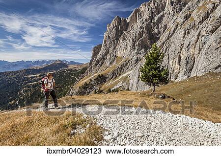 Bergsteiger am Plan de Siela in der Sellagruppe am Sellajoch, rechts der Piz Ciavazes, Dolomiten, Grodnertal, Val Gardena, Sudtirol, Canazei, Trentino-Sudtirol, Italien, Europa View Large Photo Image Stock Image - Bergsteiger am Plan de Siela in der Sellagruppe am Sellajoch, rechts der Piz Ciavazes, Dolomiten, Grodnertal, Val Gardena, Sudtirol, Canazei, Trentino-Sudtirol, Italien, Europa. Fotosearch