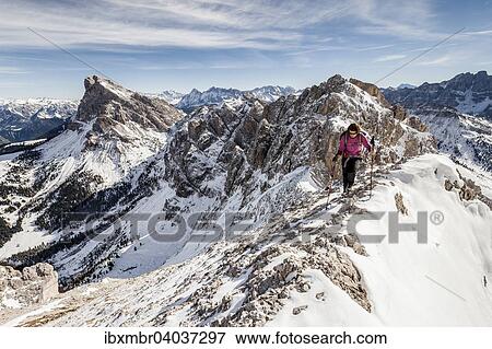 Bergsteiger beim Aufstieg auf den Tullen uber den Gunther Messner Steig im Villnosstal, hier auf dem Gipfelgrat, hinten der Peitlerkofel, Dolomiten, Villnoss, Eisacktal, Sudtirol, Trentino-Alto Adige, Italien, Europa View Large Photo Image Stock Photo - Bergsteiger beim Aufstieg auf den Tullen uber den Gunther Messner Steig im Villnosstal, hier auf dem Gipfelgrat, hinten der Peitlerkofel, Dolomiten, Villnoss, Eisacktal, Sudtirol, Trentino-Alto Adige, Italien, Europa. Fotosearch
