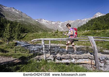 Bergsteiger im Lagauntal, hinten die Saldurspitz, Schnalstal, Meraner Land, Sudtirol, Trentino-Sudtirol, Italien, Europa View Large Photo Image Stock Photograph - Bergsteiger im Lagauntal, hinten die Saldurspitz, Schnalstal, Meraner Land, Sudtirol, Trentino-Sudtirol, Italien, Europa. Fotosearch