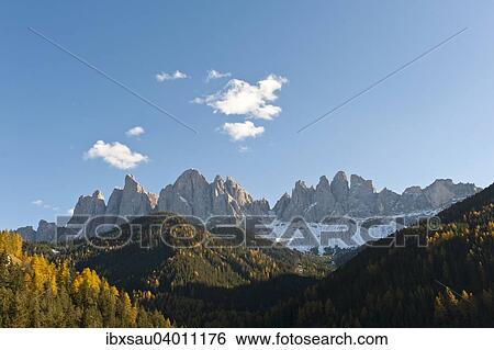 Bergwald im Herbst, Geisler Spitzen, Geislergruppe, Naturpark Puez-Geisler, Dolomiten, Alpen, Villnoss, Villnosstal, Sudtirol, Trentino-Sudtirol, Italien, Europa View Large Photo Image Stock Photograph - Bergwald im Herbst, Geisler Spitzen, Geislergruppe, Naturpark Puez-Geisler, Dolomiten, Alpen, Villnoss, Villnosstal, Sudtirol, Trentino-Sudtirol, Italien, Europa. Fotosearch