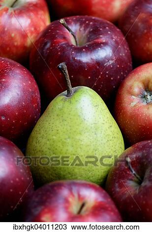 Stock Image - Birne inmitten von roten Jonagored Aepfeln. Fotosearch